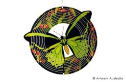 Birdwing Butterfly